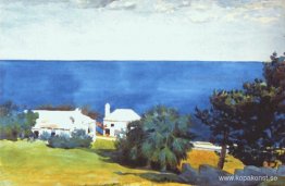 Stranden vid Bermuda Stranden vid Bermuda