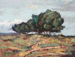 Brăneşti landskap Brăneşti landskap