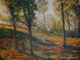 Orange Park Landskap Orange Park Landskap