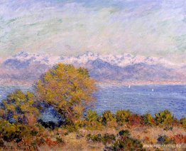 Alperna sett från Cap d'Antibes Alperna sett från Cap d'Antibes