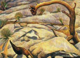 Inte upptäckt Inte upptäckt