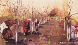 Gräver träd i trädgården Gräver träd i trädgården