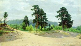Skogens kant Skogens kant