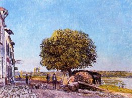 Kastanjeträd på Saint Mammes Kastanjeträd på Saint Mammes