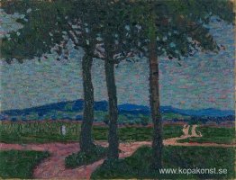 Vägen till Kynwasser (Krkonoše) Vägen till Kynwasser (Krkonoše)