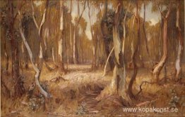 Solsken och skugga Solsken och skugga