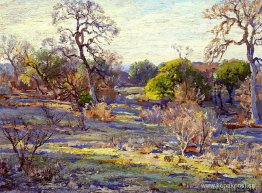 Sen eftermiddag, Alamo Heights, San Antonio, Texas Sen eftermiddag, Alamo Heights, San Antonio, Texas