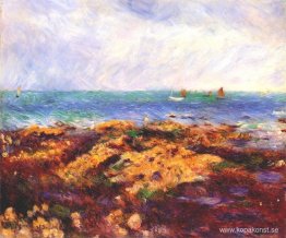 Lågvatten vid Yport Lågvatten vid Yport