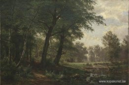 Skogslandskap med bäck Skogslandskap med bäck