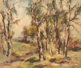 Björkskog Björkskog