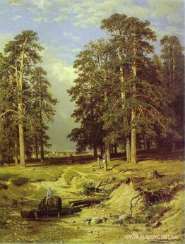 Nära Yelabuga Nära Yelabuga