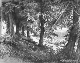 Kväll i Albano nära Rom Kväll i Albano nära Rom