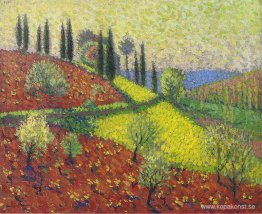 Cyperns träd på kullen Cyperns träd på kullen