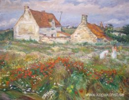 Les Fleurs de l'été - champ à Slack Les Fleurs de l'été - champ à Slack