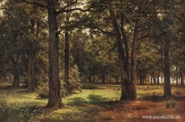 Peter den stores ekar i Sestroretsk Peter den stores ekar i Sestroretsk