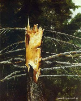 Sliten gran Sliten gran