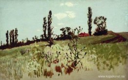 Poplar träd Poplar träd