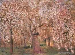 Körsbärsträdet blommar Körsbärsträdet blommar