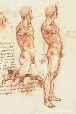Anatomin hos en manlig naken och en stridsscen Anatomin hos en manlig naken och en stridsscen
