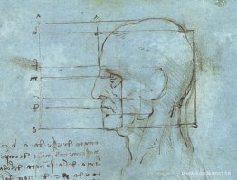 Huvudets proportioner Huvudets proportioner