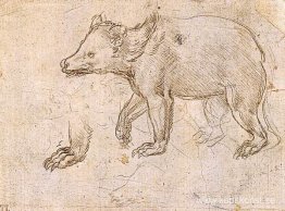 Studier av en BeWalking Studier av en BeWalking