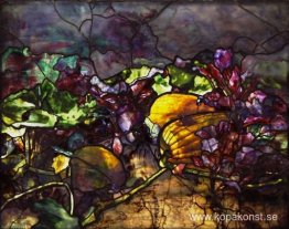 Pumpa och rödbetor fönster Pumpa och rödbetor fönster