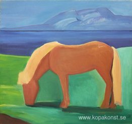 Islandshäst med blond man Islandshäst med blond man