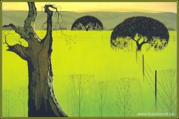 Senapsfält Senapsfält