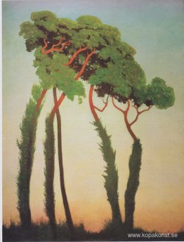 De sista solstrålarna De sista solstrålarna