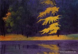 Sjön i Bois de Boulogne Sjön i Bois de Boulogne