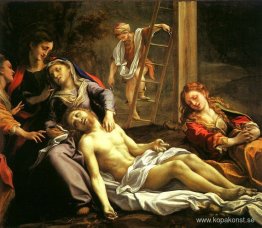 Deposition Deposition