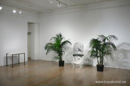 Ne diets pas que je ne l'ai pas dit - Le Perroquet Ne diets pas que je ne l'ai pas dit - Le Perroquet