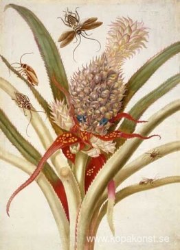 Ananas och kackerlackor Ananas och kackerlackor