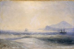 Havsutsikt Havsutsikt