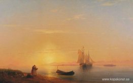 Dalmatiens stränder Dalmatiens stränder