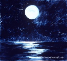 Punta Animas Punta Animas