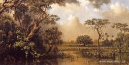 Great Florida Marsh Great Florida Marsh