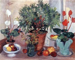 Stilleben (cyklamen) Stilleben (cyklamen)