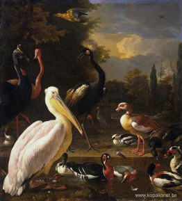 En pelikan och andra fåglar nära en pool (Den flytande fjädern) En pelikan och andra fåglar nära en pool (Den flytande fjädern)