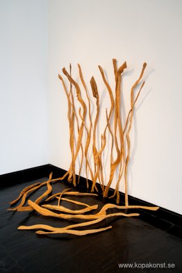 Frammaning av vatten Frammaning av vatten