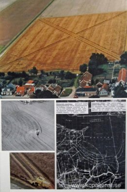 Avbruten beskärning Avbruten beskärning