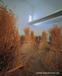 Um campo depois da colheita para deleite estético do nosso corpo Um campo depois da colheita para deleite estético do nosso corpo