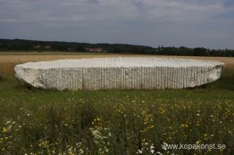 Sten för Friedrich Cerha Sten för Friedrich Cerha