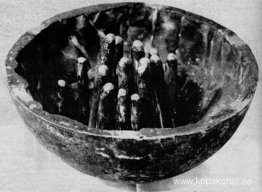 Musikalisk skog Musikalisk skog