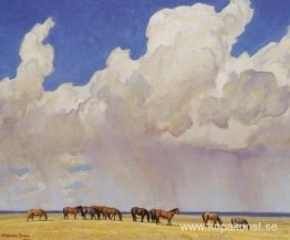 Prairie Shower Prairie Shower
