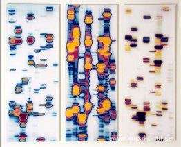 Doug, Joe och Genevieve (från The Garden of Delights) Doug, Joe och Genevieve (från The Garden of Delights)