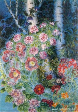 Blommor och björkar på kvällen Blommor och björkar på kvällen