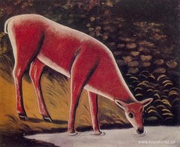 Rådjur vid en bäck Rådjur vid en bäck