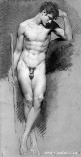 Akademisk manlig naken Akademisk manlig naken