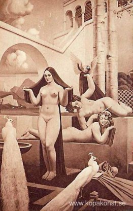 Påfåglar Påfåglar